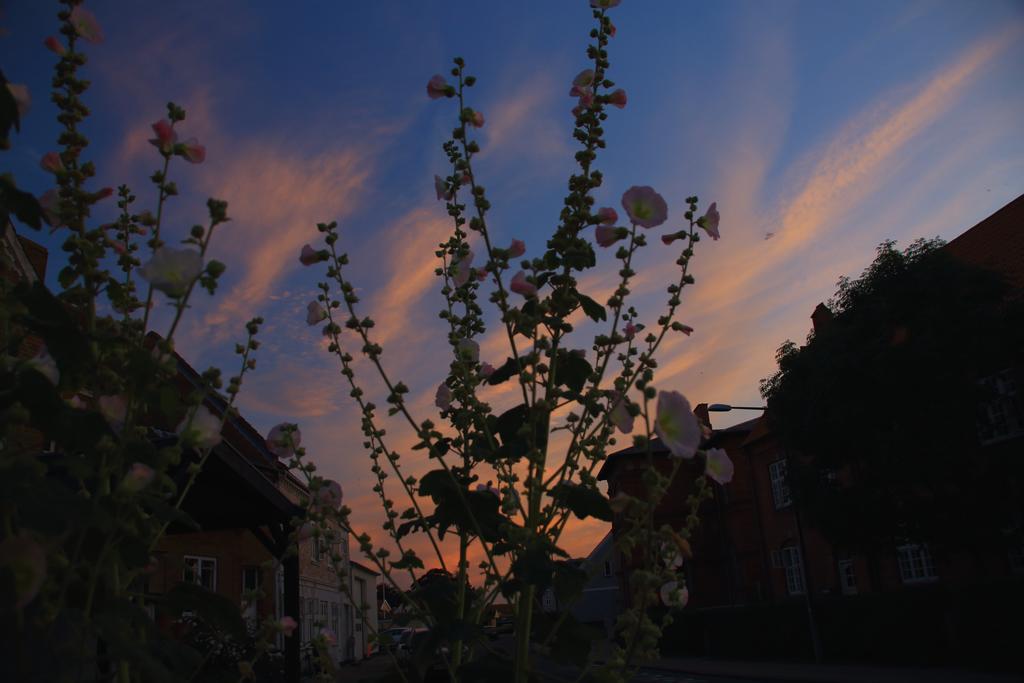 Kobmandsgardens B&B Kerteminde Dalby Екстериор снимка